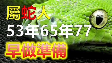 1965屬蛇|【1965年屬蛇】1965年屬蛇人2023~2024 運勢全解密